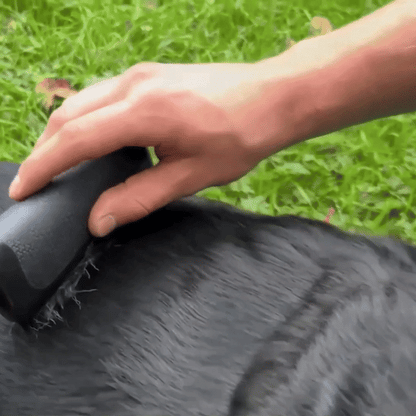 AriClaw - La Spazzola TogliPelo